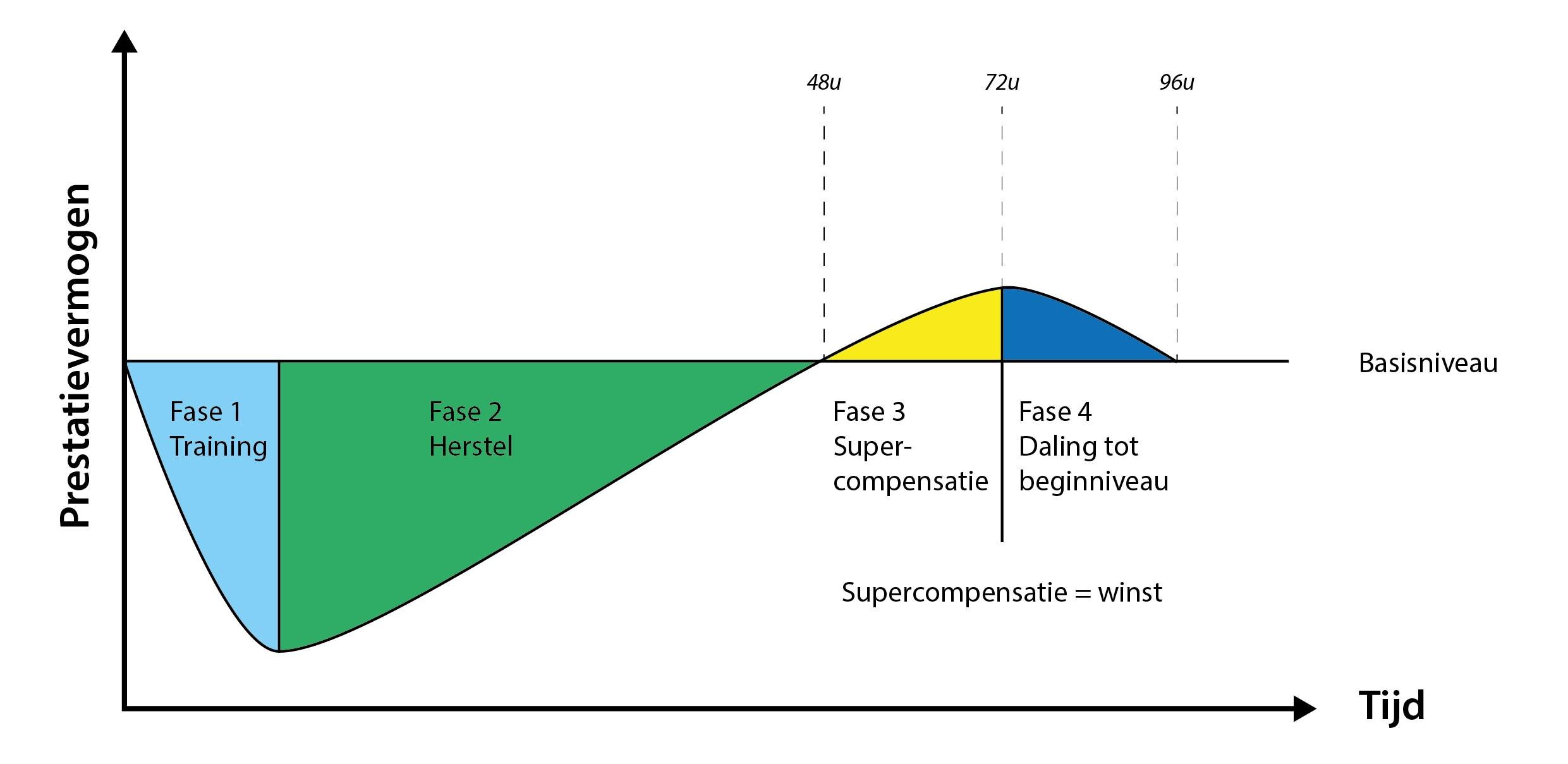 Herstel En Supercompensatie Na Training Wat Is Dat Herstel En Supercompensatie Na Training Wat Is Dat